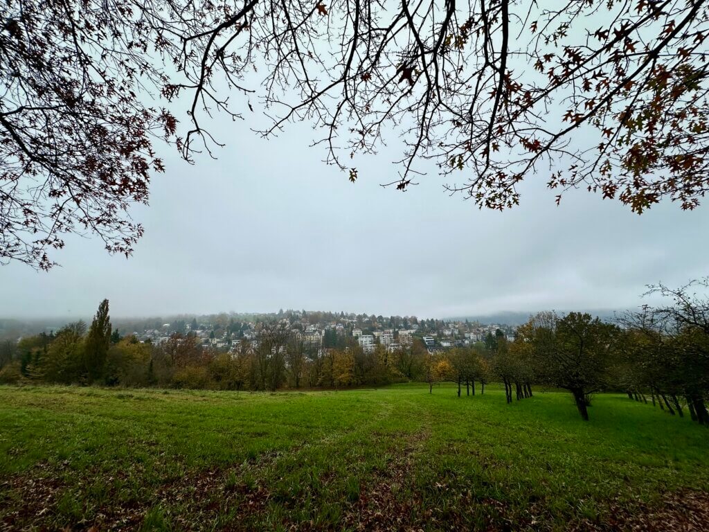 Blick auf Baden-Baden